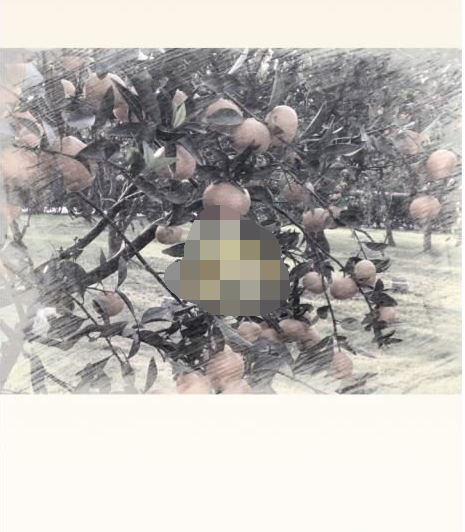 1610168841640204.png 美图秀秀素描特效怎么设置