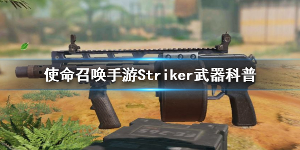 《使命召唤手游》Striker是什么