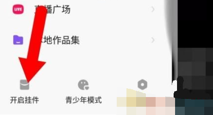 1611718480971138.png 快手极速版挂件怎么设置