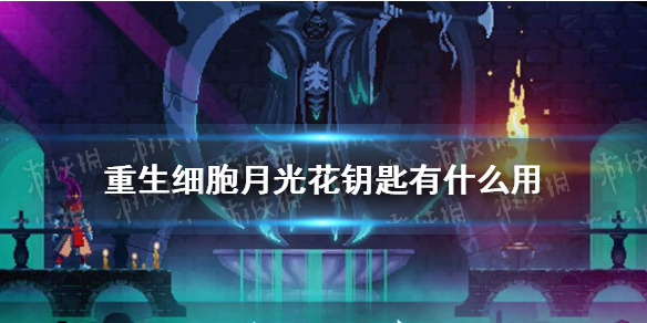 重生细胞月光花钥匙有什么用