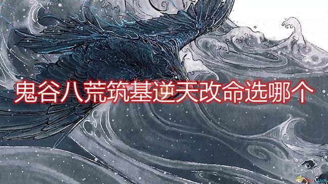鬼谷八荒筑基逆天改命选哪个最好