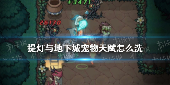 《提灯与地下城》宠物天赋怎么洗