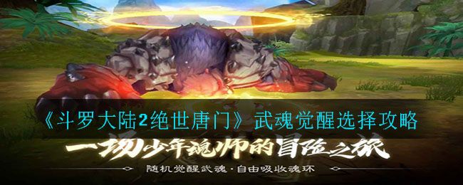 斗罗大陆2绝世唐门手游武魂觉醒怎么选择