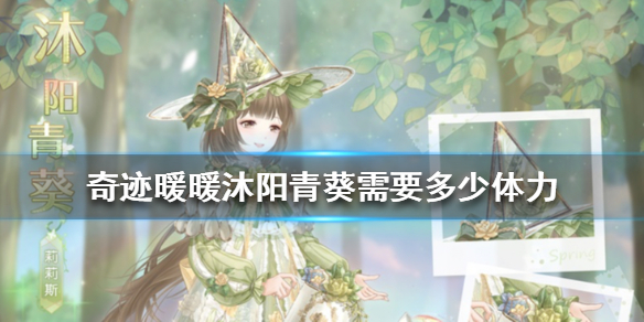 《奇迹暖暖》沐阳青葵需要多少体力