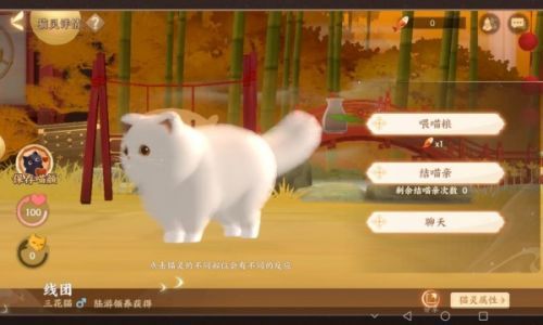 忘川风华录猫咪外观码是什么