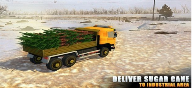 甘蔗卡车进化
