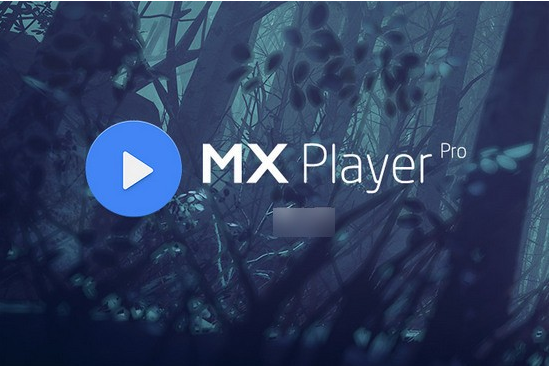 MX Player Pro去广告
