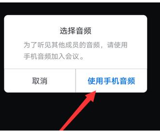 腾讯会议怎么连接使用音频