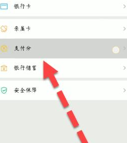 微信支付分是什么怎么看