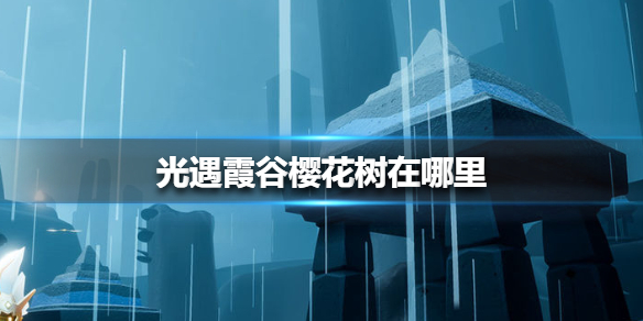 《光遇》霞谷樱花树在哪里 