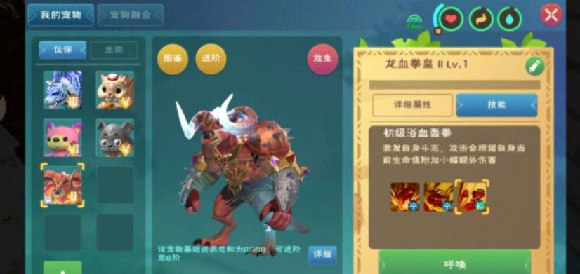创造与魔法龙血拳皇资质是多少