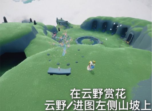 光遇5.11任务攻略：5月11日全部任务完成流程[多图]图片3