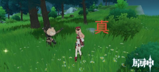原神折箭觅踪目击地点二攻略：折箭觅踪第二日真假丘丘人位置一览[多图]图片7