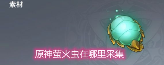 原神发光髓怎么采集？2021萤火虫发光髓采集路线图[多图]图片1