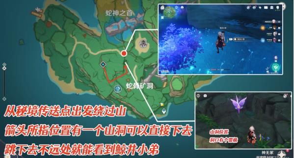 原神鲸井小弟在哪？稻妻鲸井小弟位置一览[多图]图片3