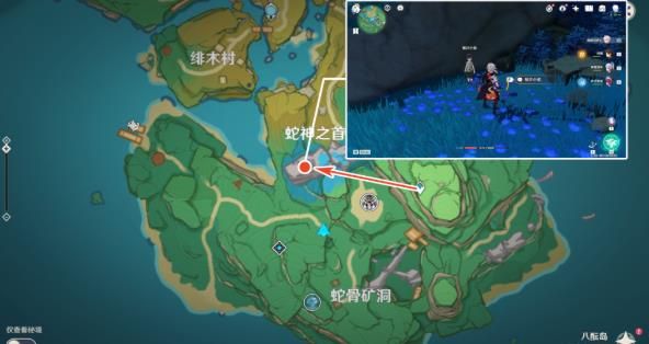 原神鲸井小弟在哪？稻妻鲸井小弟位置一览[多图]图片4