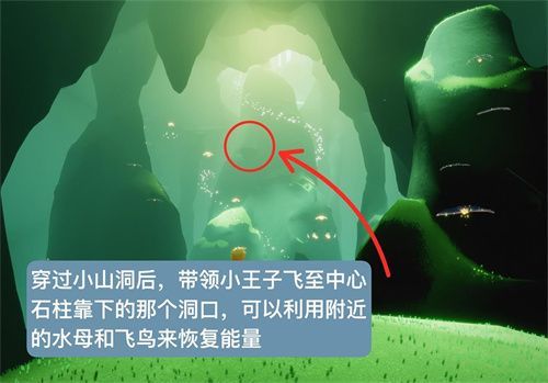 光遇小王子季第二个任务怎么做？到雨林隐藏图里找到小王子攻略[多图]图片7