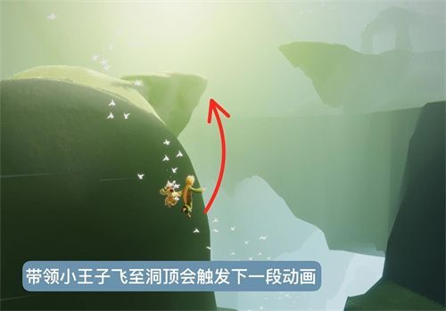 光遇小王子季第二个任务怎么做？到雨林隐藏图里找到小王子攻略[多图]图片11