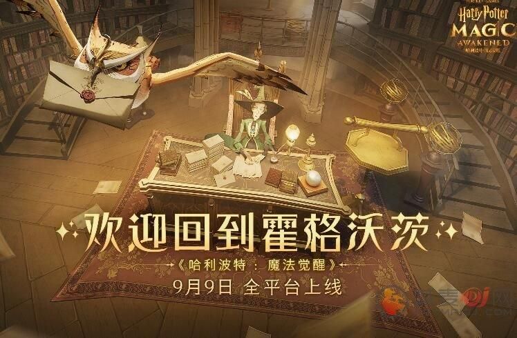 哈利波特魔法觉醒进不去怎么办？游戏进不去闪退解决方法[多图]图片1