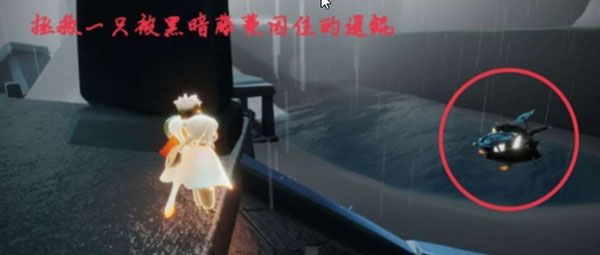 光遇11.10任务攻略大全：11月10日在水母上恢复能量攻略[多图]图片4