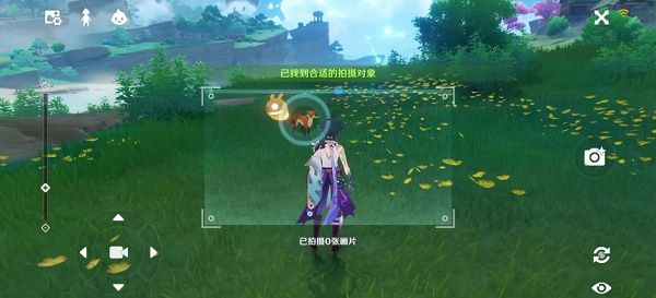 原神稻妻特色动物位置大全：稻妻特色动物拍照任务攻略[多图]图片2