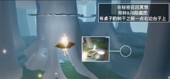 光遇秘密花园在哪里冥想？5.24秘密花园冥想地点分享[多图]图片1