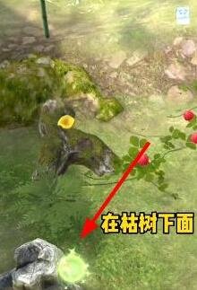 夺笋高手彩蛋攻略：彩蛋位置大全[多图]图片7