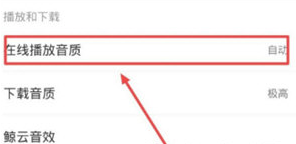 网易云音乐播放音质怎么调整