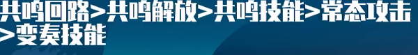 鸣潮暗主培养攻略