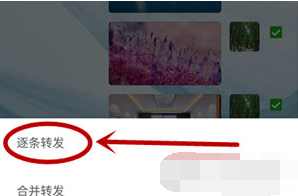 微信APP批量发送图片怎么操作