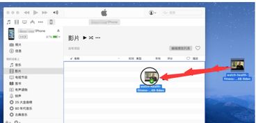 如何在电脑上导入iPhone照片