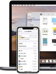 iPhone共享相簿功能怎么用