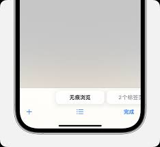 如何在iPhone的Safari中关闭隐私浏览模式