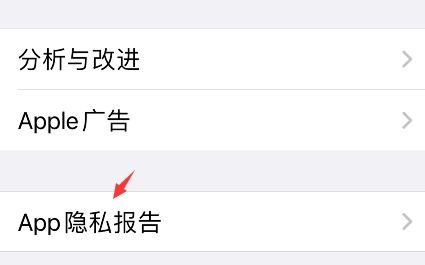 iPhone上如何启用“应用隐私报告”