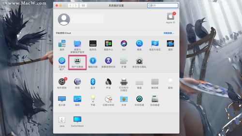 如何在macOS Sonoma中添加和使用桌面小部件