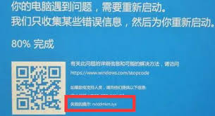 windows11蓝屏怎么办？解决方法及详细步骤