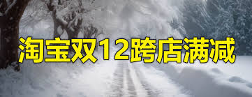 2025年天猫双12狂欢节启动时间