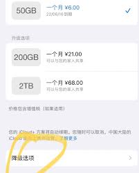 icloud自动续费怎么取消