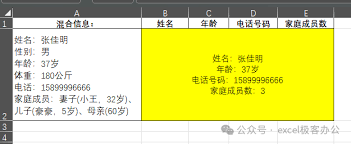 deepseek如何接入excel教程