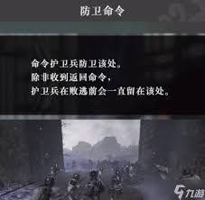 真三国无双起源如何选择护卫兵战术