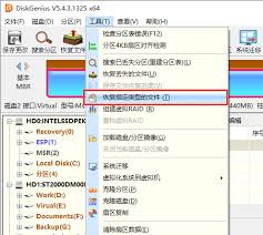 diskgenius如何恢复特定类型文件