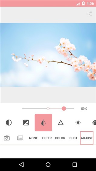 AnalogPink（图片编辑）