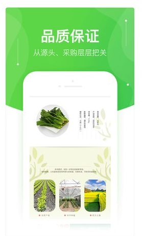 快马送菜（生鲜电商）