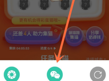 滴滴出行喵喵节怎么赠送好友猫