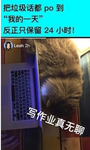 Spot（社交聊天）