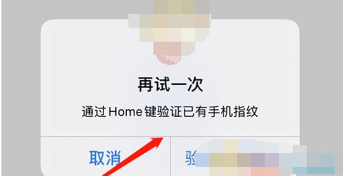 掌上生活扫码支付怎么操作