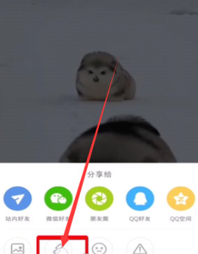 小红书APP复制链接分享好友怎么操作