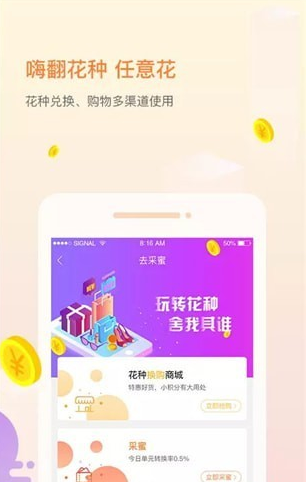 一直花（网络购物）