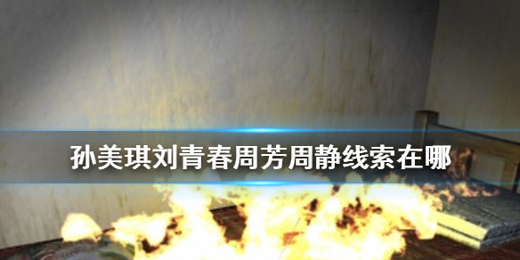 《孙美琪疑案刘青春》周芳周静线索在哪
