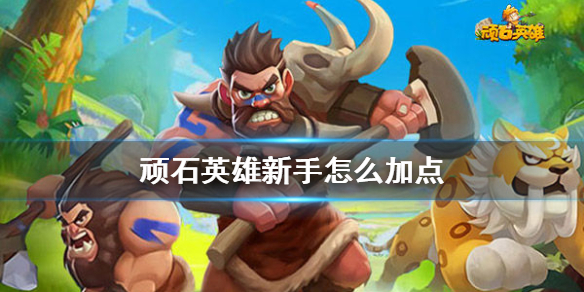 《顽石英雄》新手怎么加点 